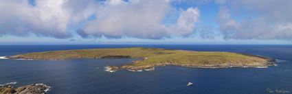 North Neptune Islands - SA (PBH3 00 25749)